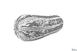 пояҳо Саҳифаҳои Рангкунии Чопшаванда